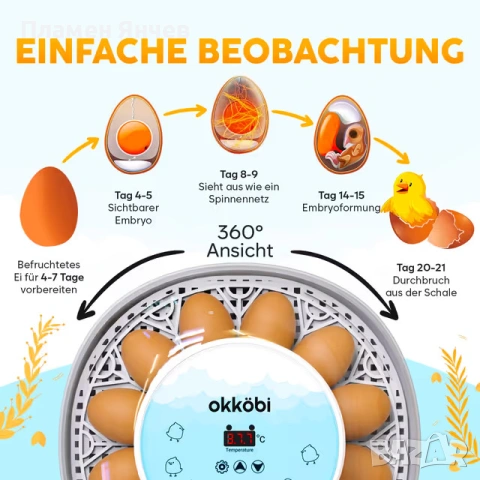 Автоматичен инкубатор за яйца 12–24 яйца, снимка 2 - За птици - 55123862