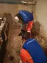 КЪРТИ • ЧИСТИ • ИЗВОЗВА – СОФИЯ, снимка 9