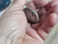 сребърна висулка 44.44гр, снимка 12