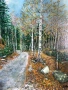 Сняг през есента на Витоша, снимка 1