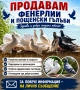 Продавам гълъби, снимка 2