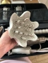 Маша Shark FlexStyle Champagne Diamond Limited Edition 5-в-1, снимка 5