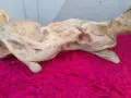 Декоративно изделие от дърво, снимка 4