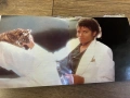 Обложка Michael Jackson - Thriller, снимка 3