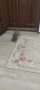 Британски котета, снимка 3