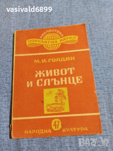 Голдин - Живот и слънце 