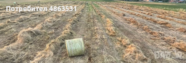 Бали 120х120 слама и сено , снимка 2 - Крави - 54991669