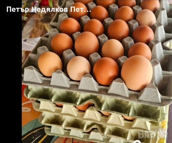 Оплодени!