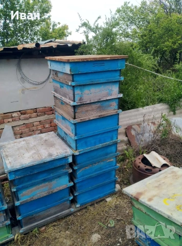 празни кошери