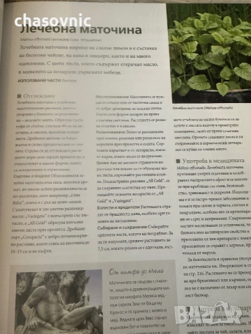 Прекрасна книга за света на билките! "НЕОБЯТНИЯТ СВЯТ НА БИЛКИТЕ" - Рийдърс Дайджест /// билки, снимка 4 - Енциклопедии, справочници - 54424575