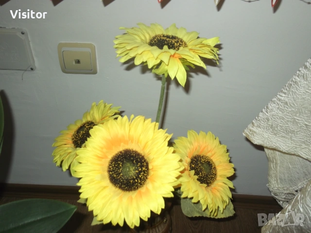 фотоапарат FujiFilm FinePix C10   10 мРх, снимка 12 - Фотоапарати - 54281798