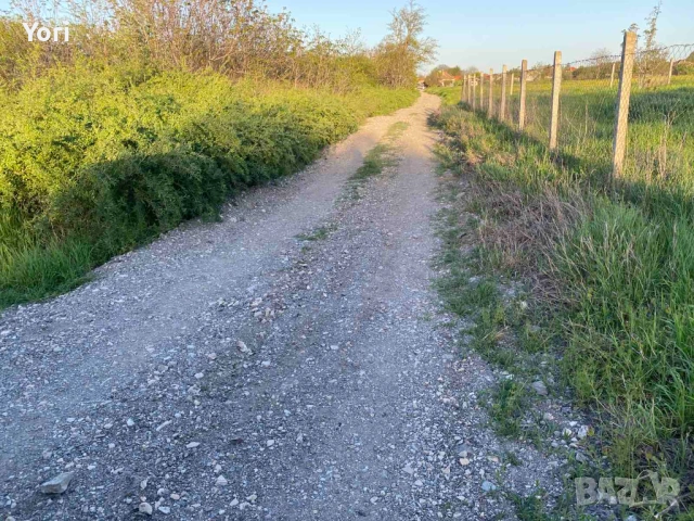 Продава се двор в гр.Козлодуй, снимка 2 - Парцели - 54331540