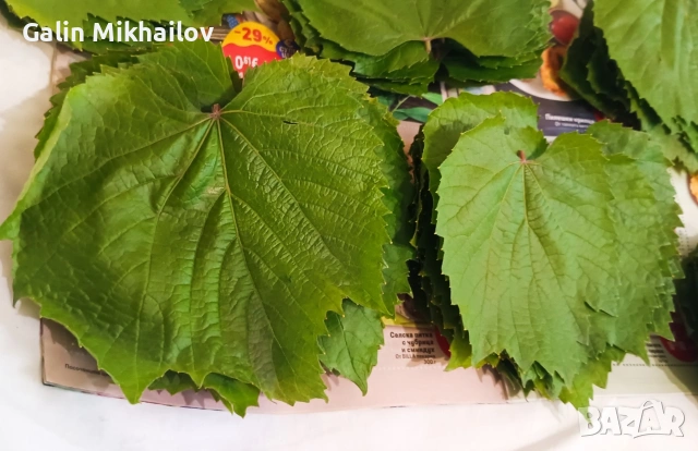 Черници плод , лозови листа , сезонни билки, снимка 10 - Домашни продукти - 54907435