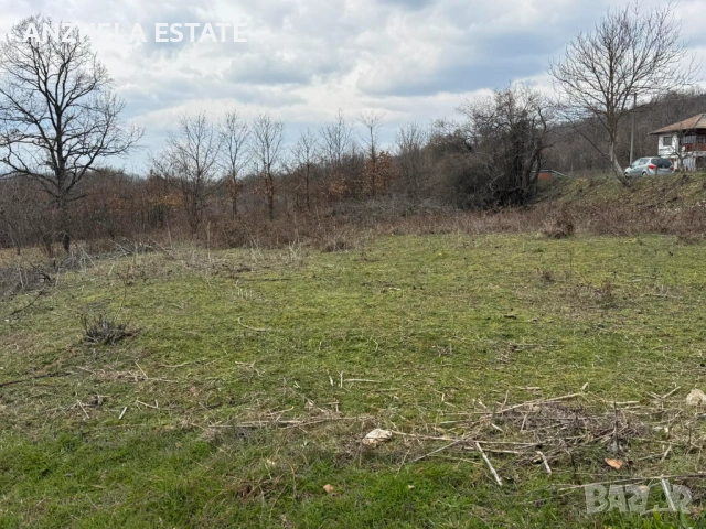 Земеделска земя за продажба село Голяма Желязна, местност Ловч.пътека, снимка 5 - Земеделска земя - 53959404