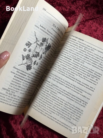 Лечебни и етерични растения| Дървесни и храстови видове, снимка 13 - Специализирана литература - 54367973