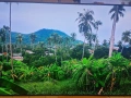 LG 65 инча OLED 4K смарт, снимка 1