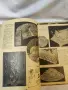 Сборник списания „Икономия и домакинство“ (1936–1937 г.) Съдържание: Общо 7 броя. , снимка 3