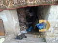 Две къщи в един двор в село Езерово, общ. Първомай, снимка 12