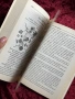 Лечебни и етерични растения| Дървесни и храстови видове, снимка 13