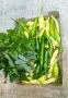 🌶️🌿Свежи Билки и Люти Чушлета Мix, снимка 4