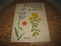 Растения полей и лесов - 1987 г., снимка 1