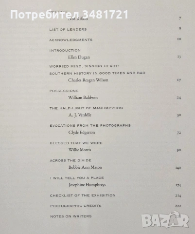 Picturing the South 1860 to the Present, снимка 2 - История, политика и общество - 55065597