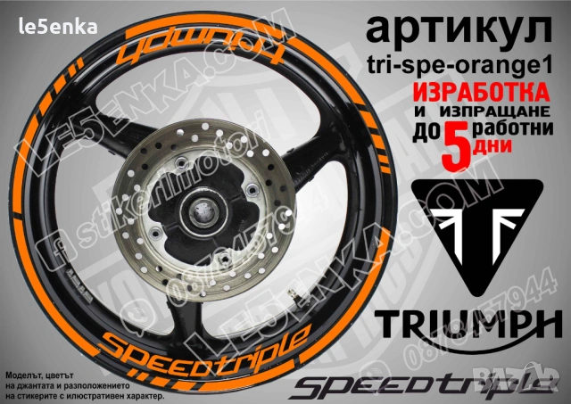 Triumph Speed Triple кантове и надписи за джанти, снимка 6 - Аксесоари и консумативи - 43148080
