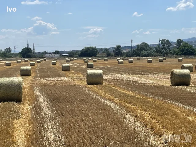 слама ечемяна овес ролонни бали