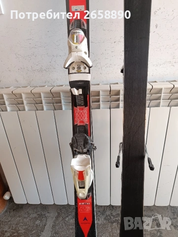 ски Dynastar master speed SL 173см, снимка 4 - Зимни спортове - 55071491