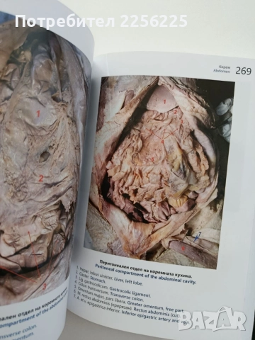 Фотографски атлас по анатомия, снимка 2 - Специализирана литература - 55677936