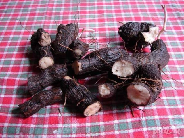 Корени Брей Tamus communis, снимка 3 - Други - 54184989