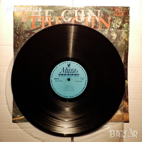 Грамофонни плочи-Vinyl - The Runaways / The Gun, снимка 7 - Грамофонни плочи - 32643393