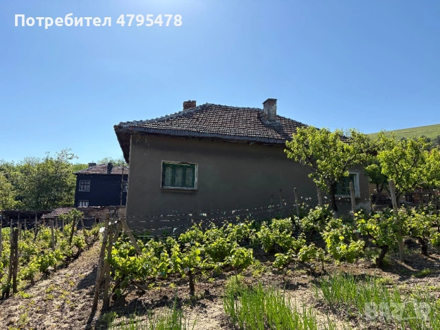 Продавам Къща с лятна кухня, двор и стопанска сграда , снимка 14 - Къщи - 54179017
