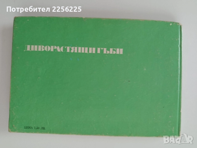 Диворастящи гъби, снимка 7 - Специализирана литература - 55104478