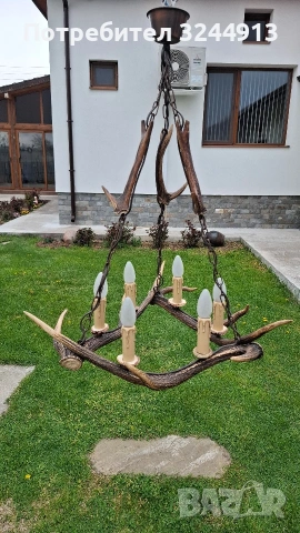 Красив полилей от еленски рога 