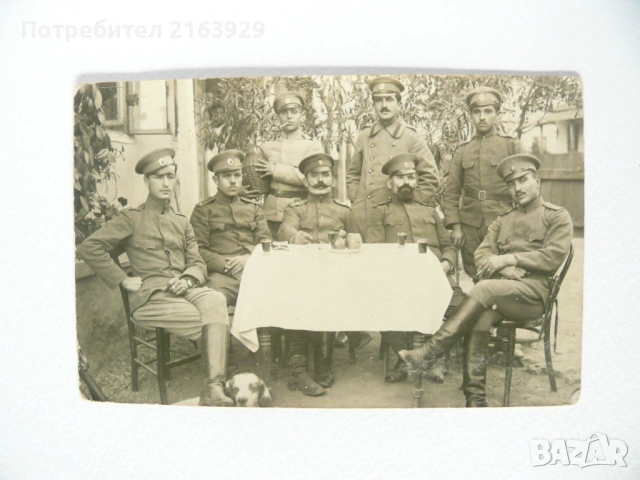 Стари царски картички, военни снимки / фотографии и т.н., снимка 6 - Колекции - 54819665