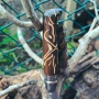 Сгъваем нож Opinel No.8 No. 9 Carbone Inox опинел Mod, снимка 2