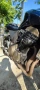 Kawasaki Z750 2005, снимка 9