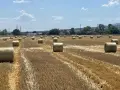 слама ечемяна овес ролонни бали, снимка 1