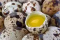 Пресни кокоши и пъдпъдъчи яйца , снимка 8
