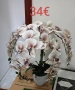 реалистични изкуствени цветя подходящи за декорация на дома, офиса, хотела или заведение , снимка 5