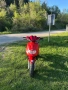 Pegasus 50cc 2t, снимка 3
