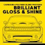 Течна вакса Meguiar's Gold Class Carnauba Plus 473 мл, снимка 7