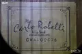 Zoom 504 II Acoustic и Carlo Robelli CW4102EQB - el-acoustic guitar, снимка 8