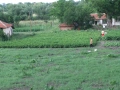 Къща  Пъстрен , Стара Загора , снимка 1