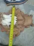 Трофей от сръндак., снимка 10