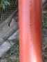ПВЦ тръба карбонова ф110 SN4, снимка 1