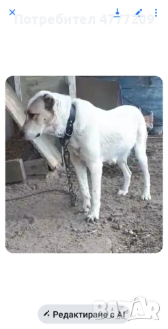 САО-АЛАБАЙ , снимка 2 - Други - 53970663