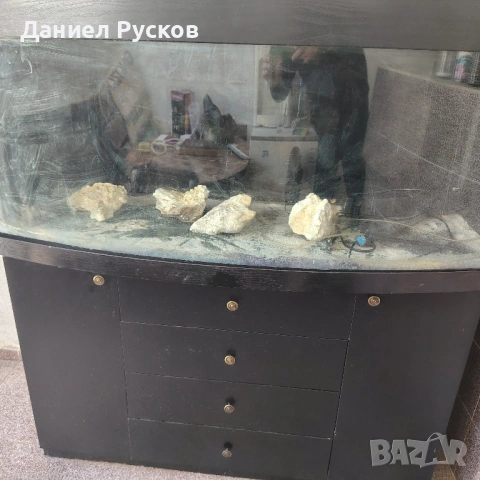 Аквариум със заоблено стъкло, снимка 5 - Аквариуми - 54446906