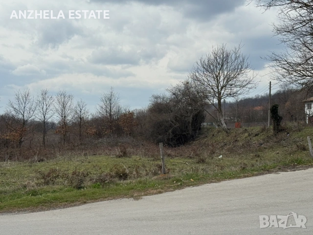 Земеделска земя за продажба село Голяма Желязна, местност Ловч.пътека, снимка 3 - Земеделска земя - 53959404